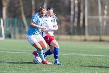Bild 133 - F Hamburger SV 3 - Blau-Weiss 96 : Ergebnis: 5:1
